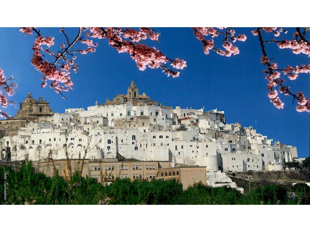 Casa Farella B&B In Suites Apartments Altamura X Matera ภายนอก รูปภาพ